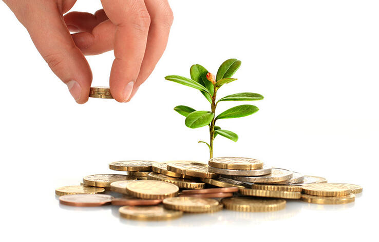 В Казахстане почти на треть за год сократились инвестиции в экологию 