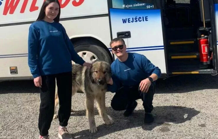 На Кольсае мужчина прыгнул в ледяную воду ради спасения собаки