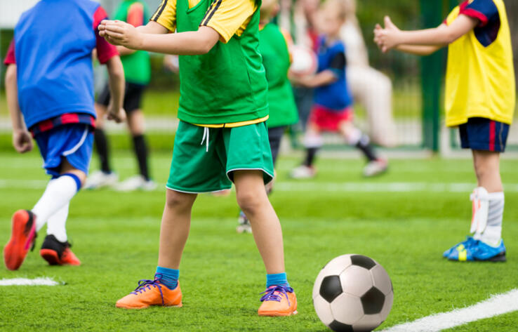 Абаев: необходимо интегрировать с государственными базами данных программу artsport