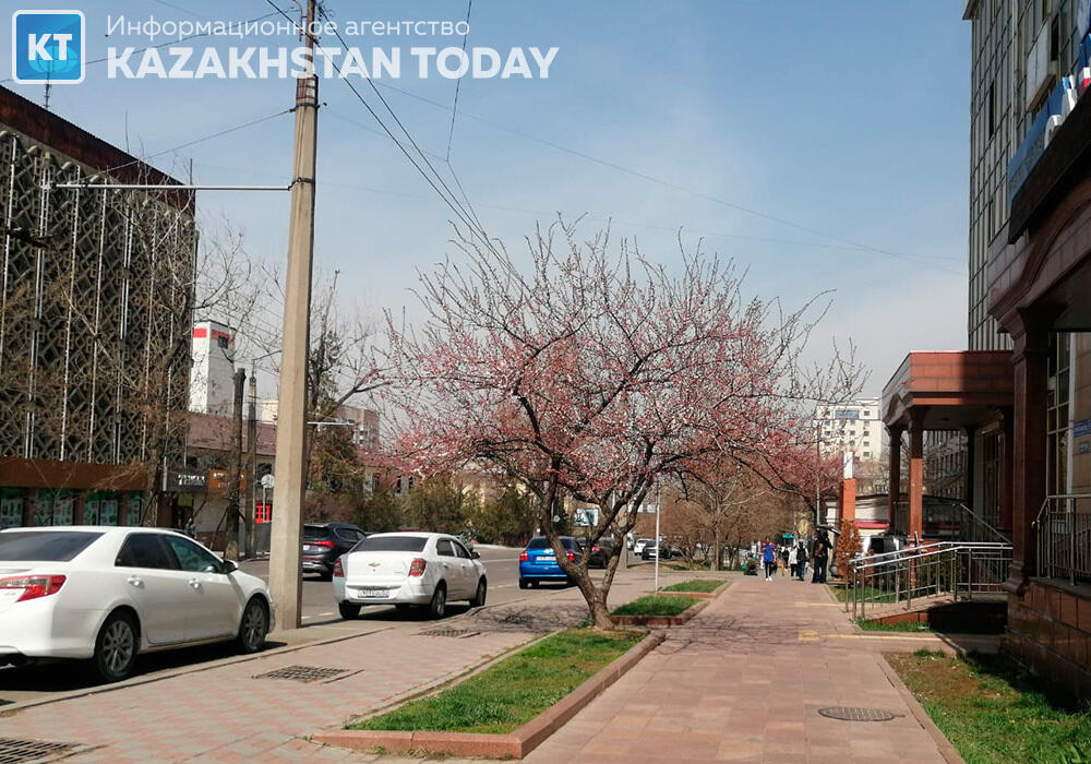 Алматыдағы көктем