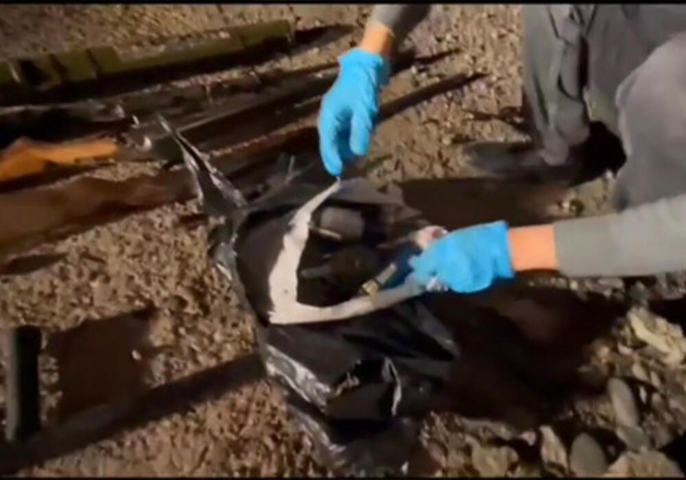 Еще один схрон с оружием обнаружен в Жамбылской области