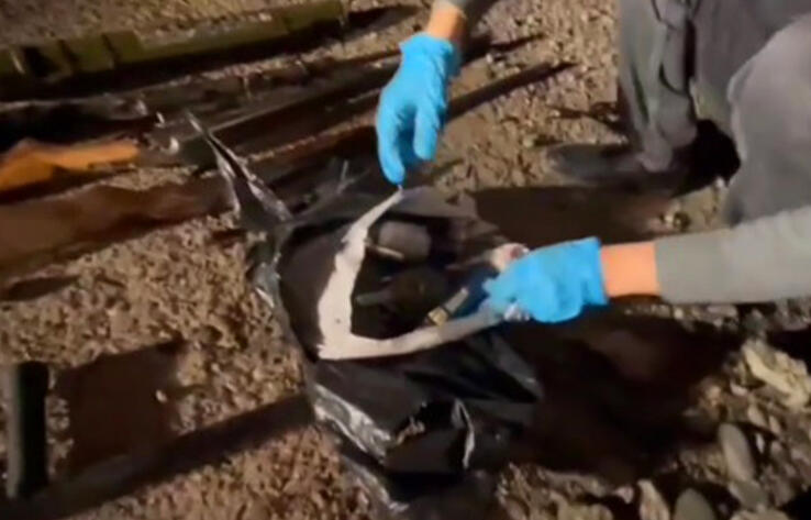 Еще один схрон с оружием обнаружен в Жамбылской области