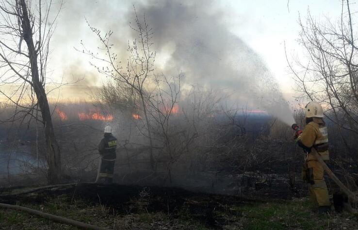 В Казахстане количество лесных пожаров в этом году возросло на 68%