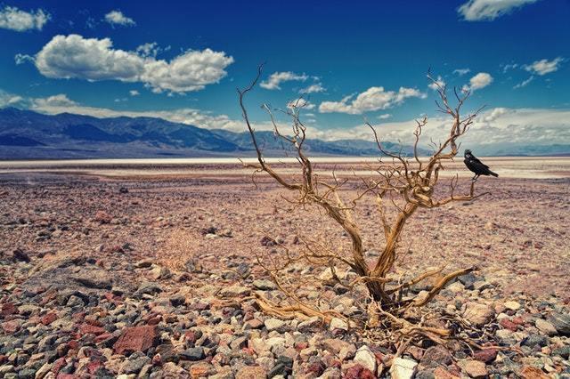 Синоптики озвучили прогноз засухи на май