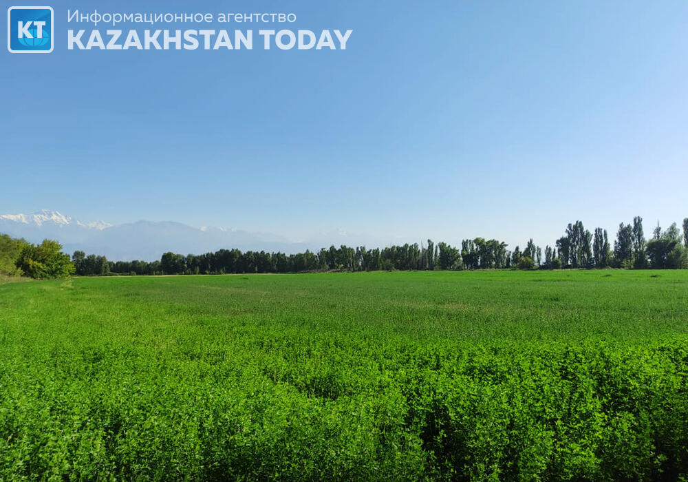 В Казахстане усовершенствуют космомониторинг сельхозземель