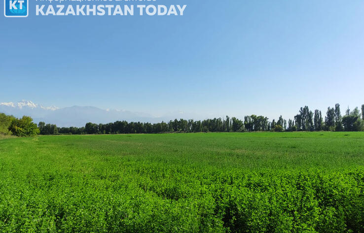 В Казахстане усовершенствуют космомониторинг сельхозземель