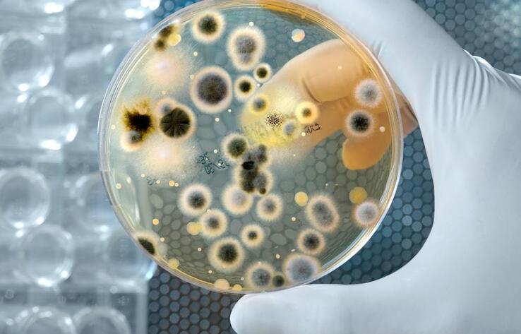 Массовое отравление студентов в Рудном: у работников столовой обнаружен стафилококк