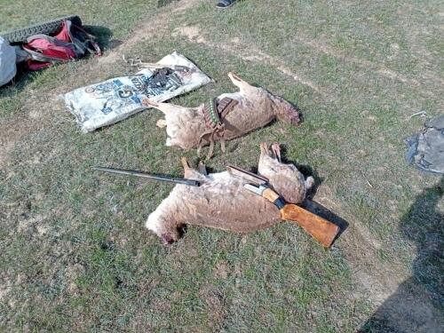 В Актюбинской области у браконьеров изъяли две туши сайги . Фото: департамент полиции Актюбинской области