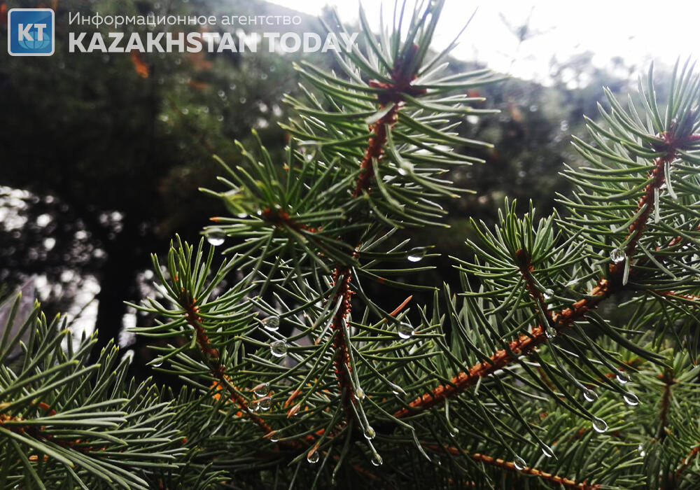 В большинстве регионов Казахстана в субботу ожидаются осадки