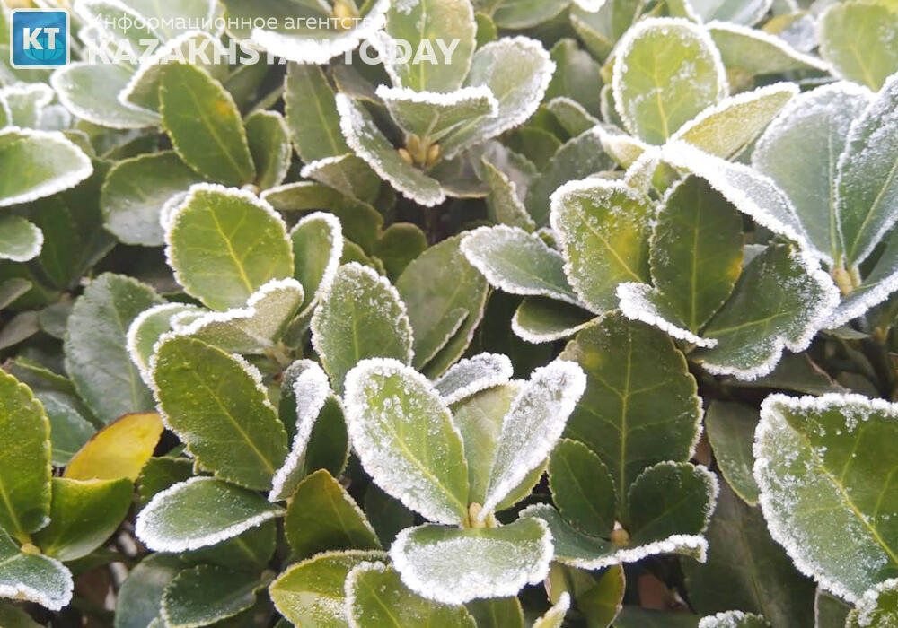 В ряде регионов ожидаются заморозки