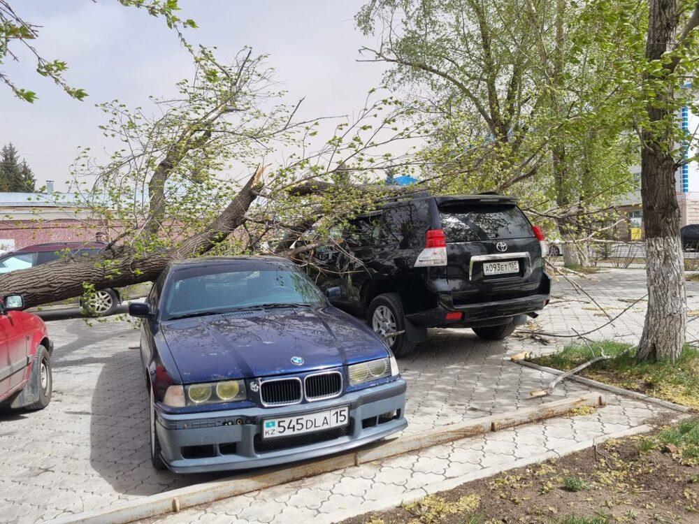 В Петропавловске ураган срывал крыши и ломал деревья. Фото: Петропавловск.news