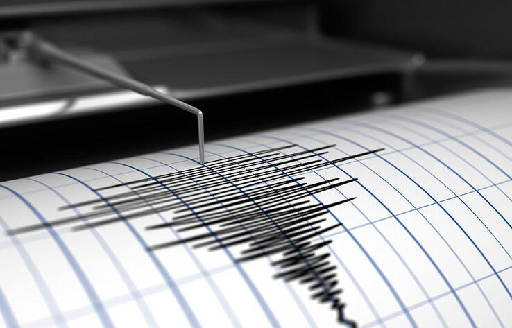 В 114 километрах от Алматы произошло землетрясение 
