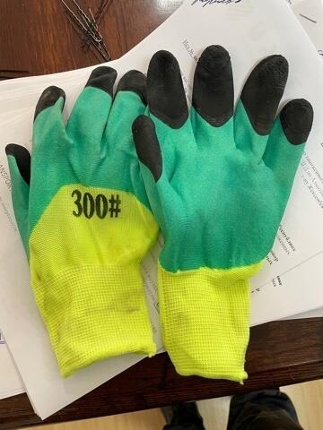 На таможенном посту "Алаколь" пресекли незаконный ввоз перчаток на 43 млн тенге