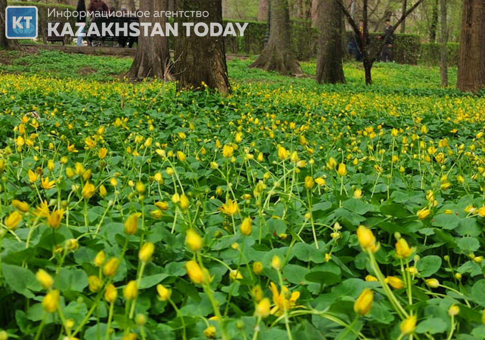 35 degrees Celsius heat to grip Kazakhstan