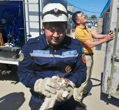 В Актау спасли застрявшего между контейнерами котенка. Фото: ДЧС Мангистауской области