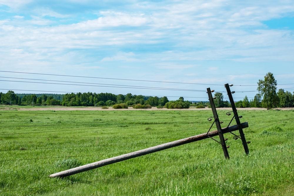 В ЗКО пять коров погибли от удара током