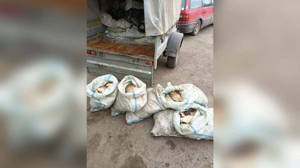 Ловили во время запрета: 20 мешков с рыбой изъяли у браконьеров в Аксу