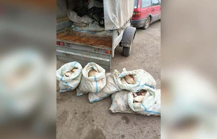 Ловили во время запрета: 20 мешков с рыбой изъяли у браконьеров в Аксу