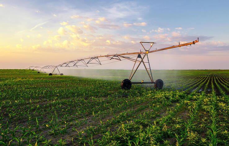 Маловодье на Сырдарье: в правительстве рассмотрели меры по обеспечению фермеров поливной водой
