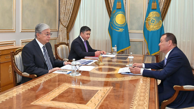 Head of State briefed on realization of his tasks regarding NSC's reformation