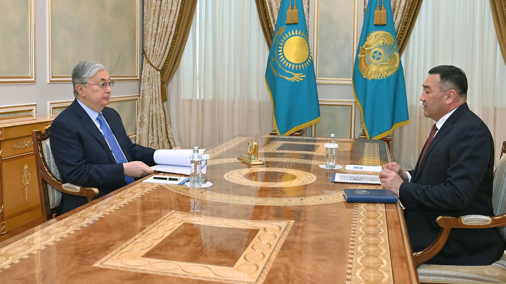 Head of State briefed on realization of his tasks regarding NSC's reformation