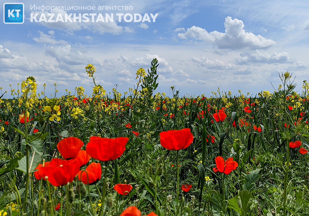 Синоптики рассказали о погоде в Казахстане в четверг