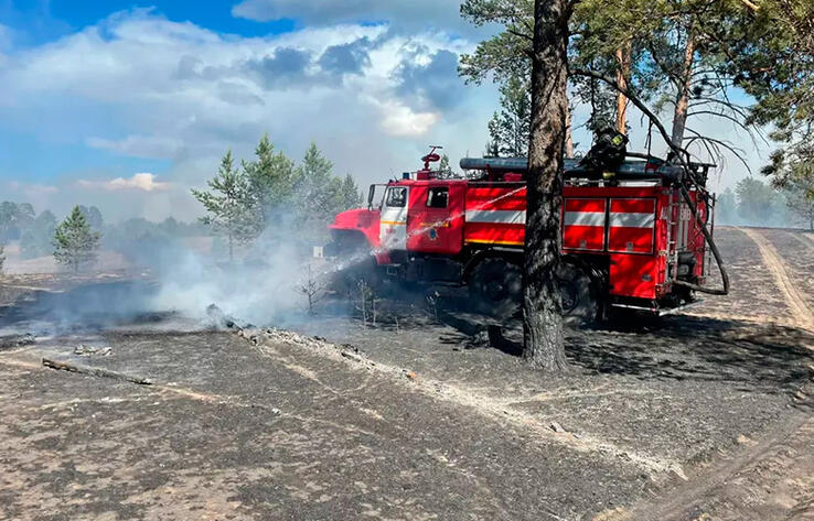 В Восточном Казахстане локализован лесной пожар