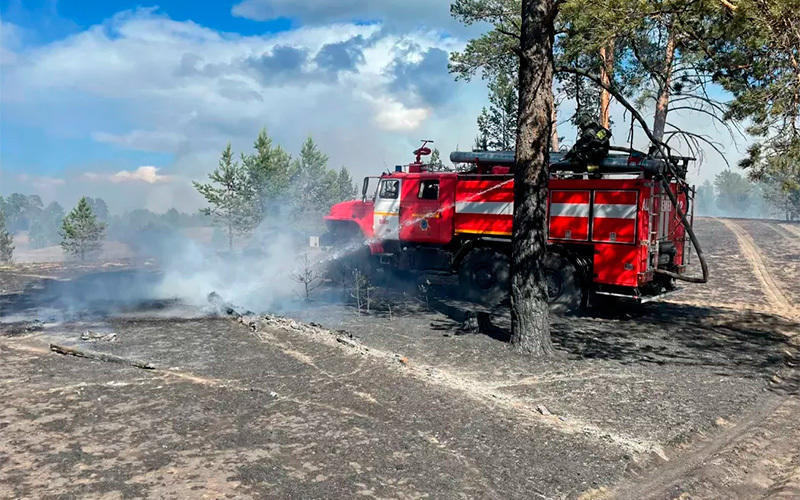 Forest fire area grows 23 times in N Kazakhstan
