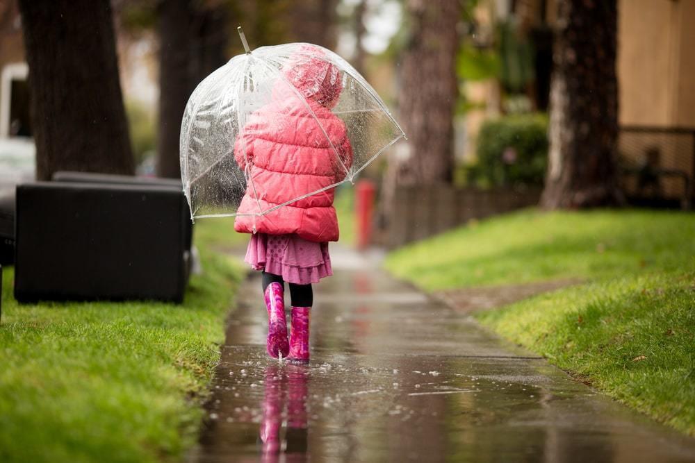 Дожди и град прогнозируют синоптики в ближайшие дни в Казахстане