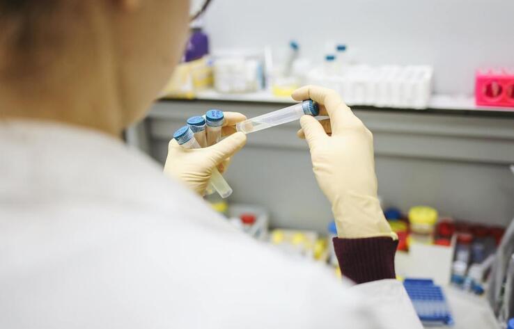 В Казахстане выявлено 13 новых случаев заболевания коронавирусом