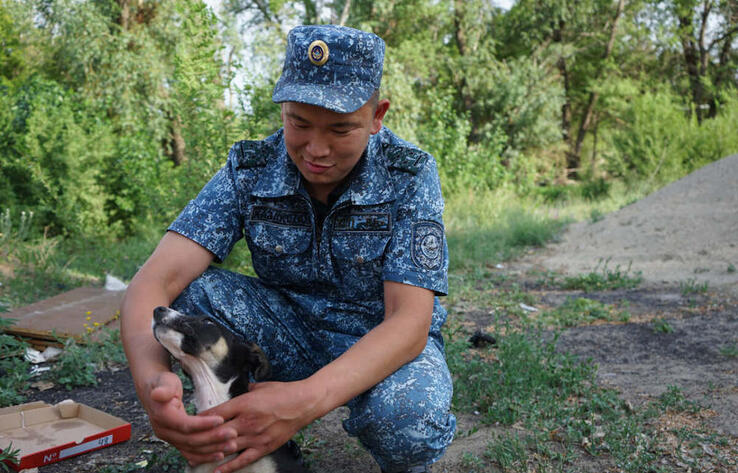 В Павлодаре сотрудник УИС приютил спасенного от гибели щенка