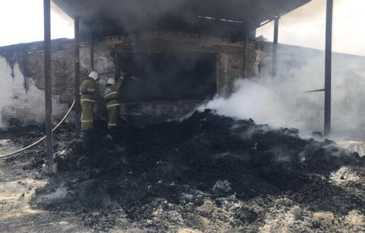 В Шымкенте произошел пожар на птицефабрике
