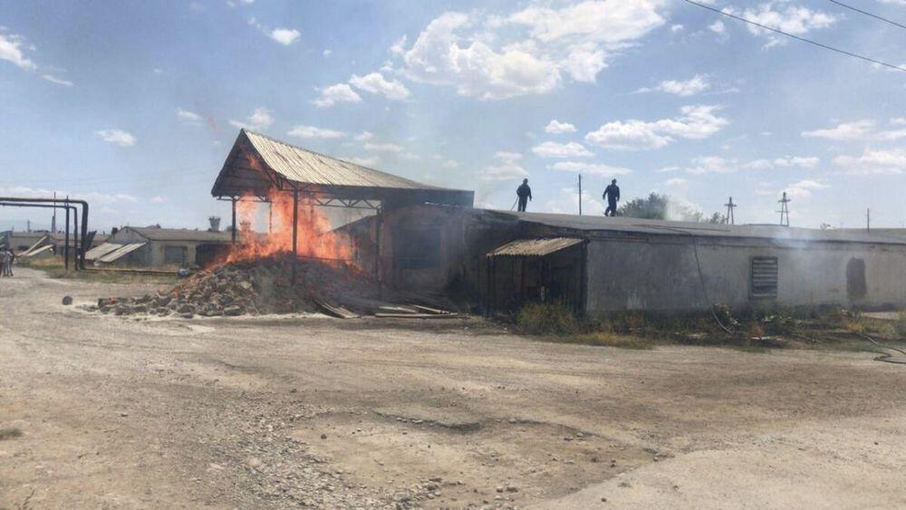 В Шымкенте произошел пожар на птицефабрике. Фото: otyrar.kz