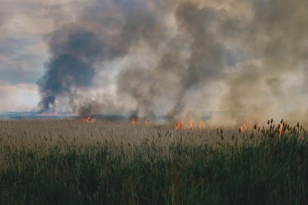 На окраине Нур-Султана подолжают тушить степной пожар