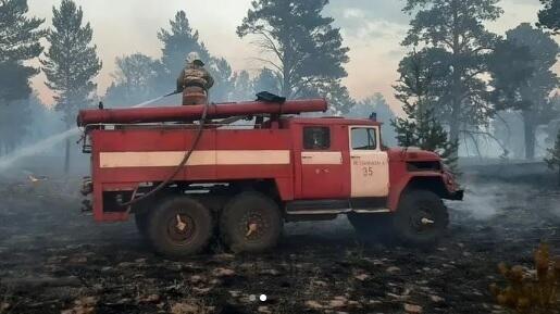  На территории заповедника "Семей Орманы" произошел лесной пожар