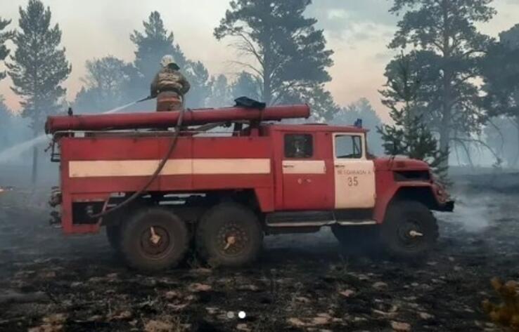  На территории заповедника "Семей Орманы" произошел лесной пожар