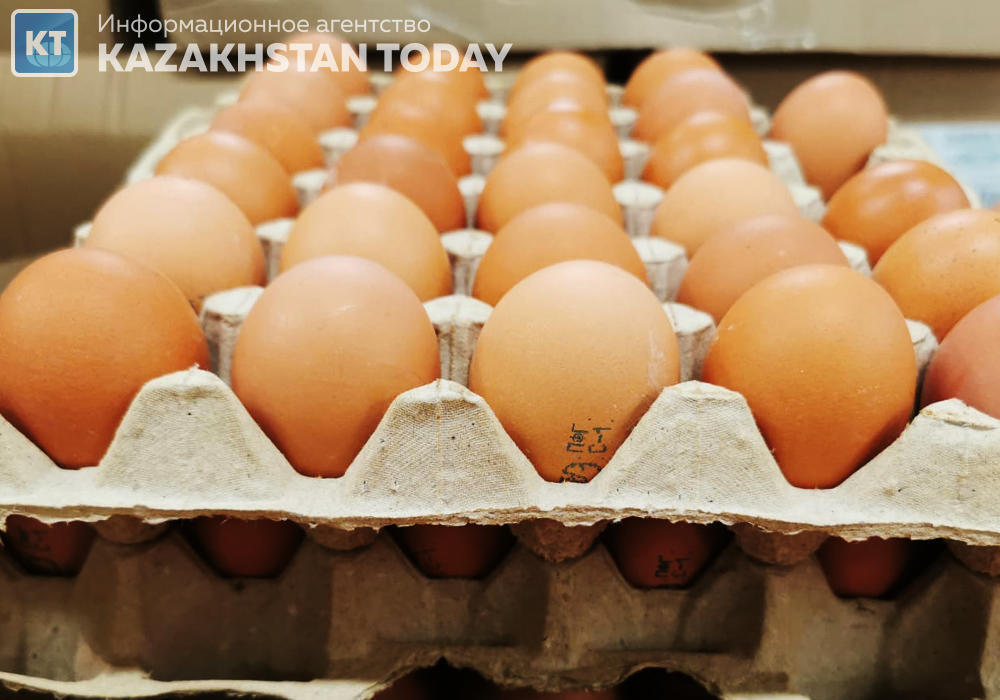 Ауыл шаруашылығы министрлігі жұмыртқа өндіретін құс фабрикаларын субсидиялауды арттырады