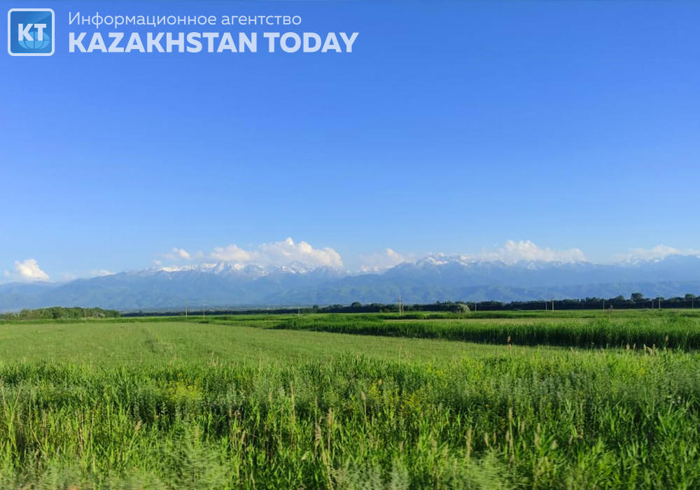 "AMANAT" партиясы 140 мың гектардан астам жайылымды мемлекеттік меншікке қайтарды 