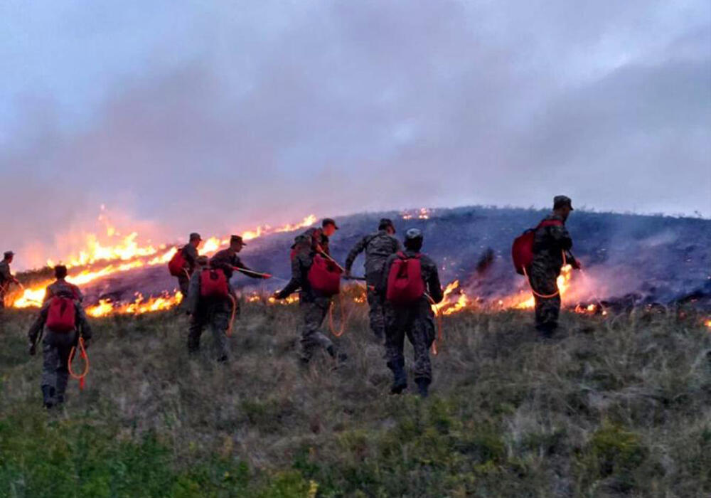 Сильный пожар тушат в Карагандинской области . Фото: ДЧС Карагандинской области