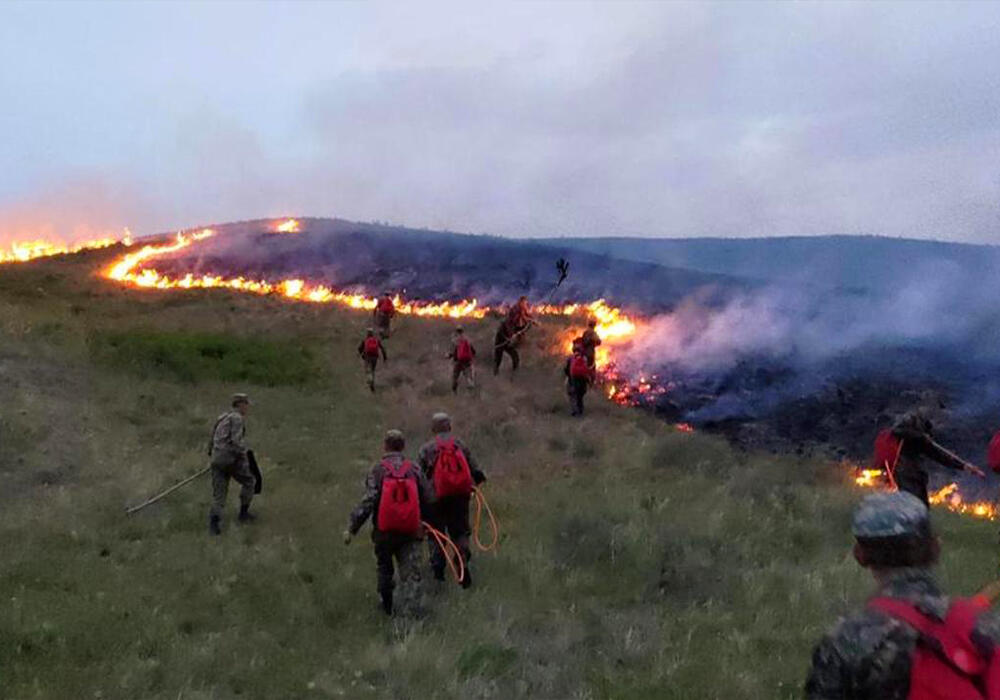 Сильный пожар тушат в Карагандинской области . Фото: ДЧС Карагандинской области