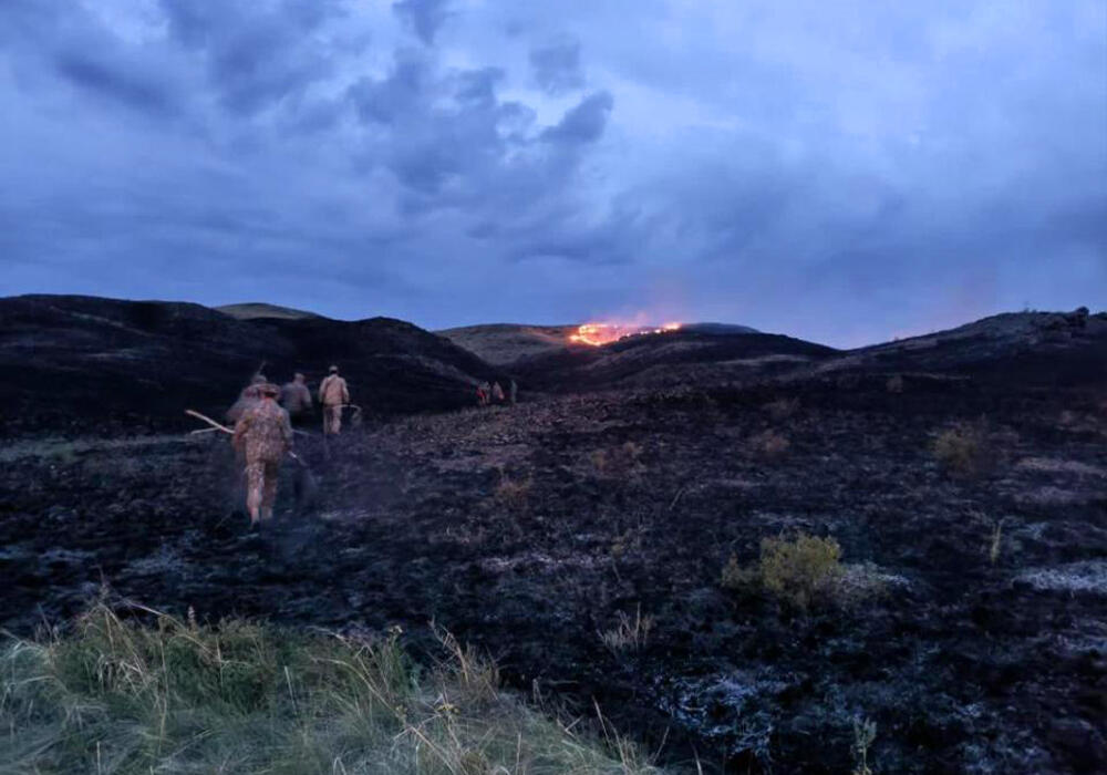 Сильный пожар тушат в Карагандинской области . Фото: ДЧС Карагандинской области