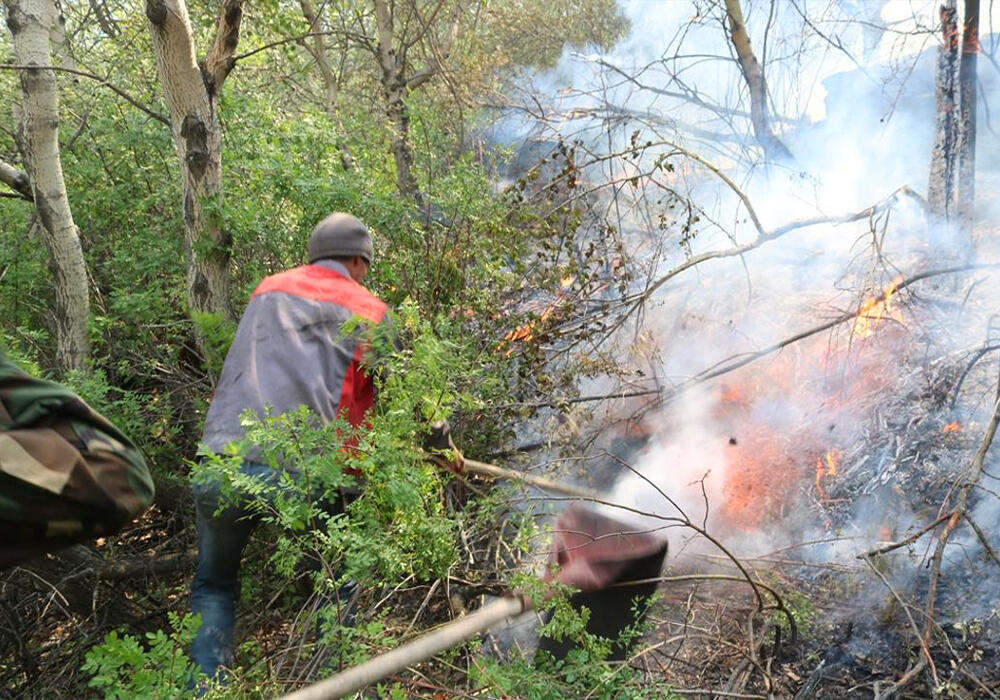 Сильный пожар тушат в Карагандинской области . Фото: ДЧС Карагандинской области
