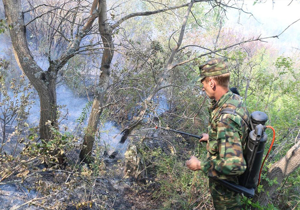 Сильный пожар тушат в Карагандинской области . Фото: ДЧС Карагандинской области
