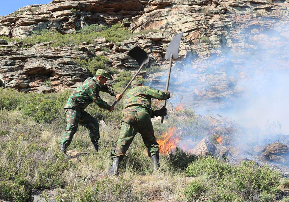 Сильный пожар тушат в Карагандинской области . Фото: ДЧС Карагандинской области