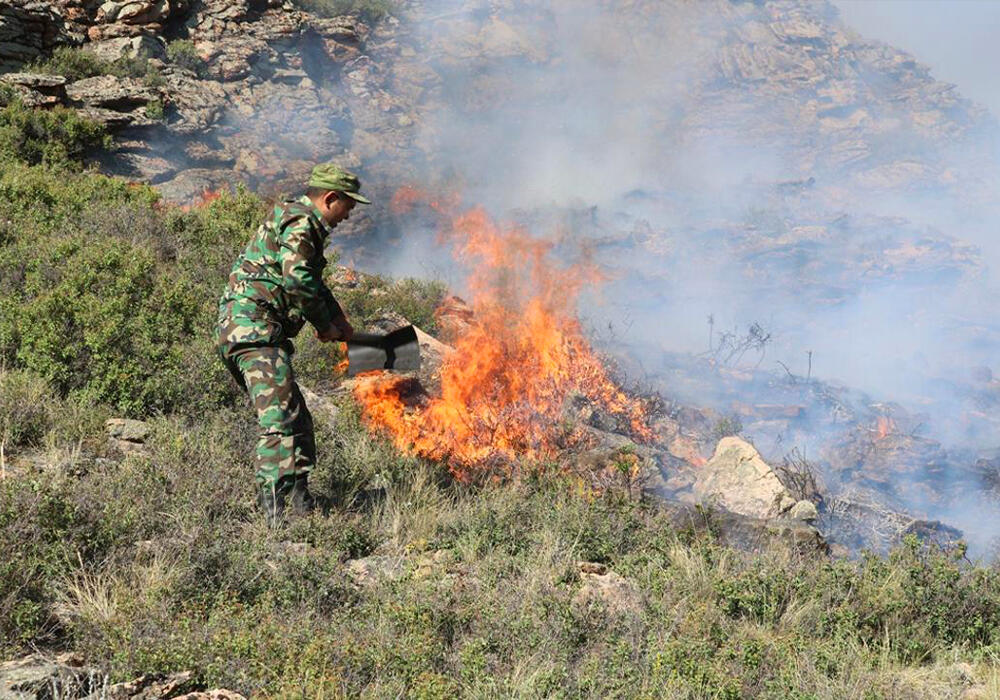 Сильный пожар тушат в Карагандинской области . Фото: ДЧС Карагандинской области