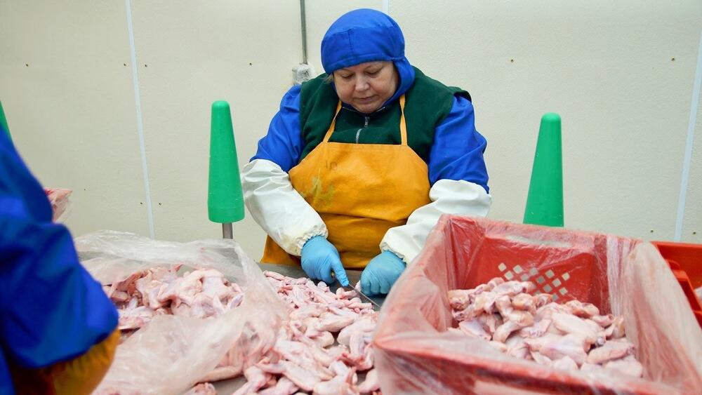 В Акмолинской области с начала года произведено местных продтоваров на 66 млрд тенге 