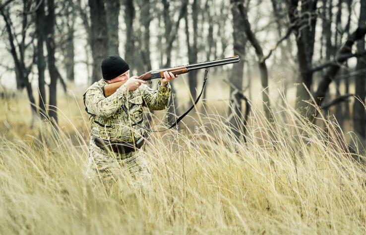 Лимиты на отстрел животных с 1 июля утвердили в Казахстане