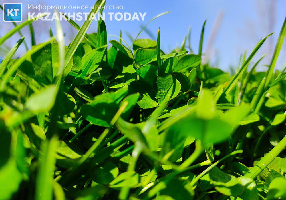 Неустойчивая погода сохраняется в Казахстане