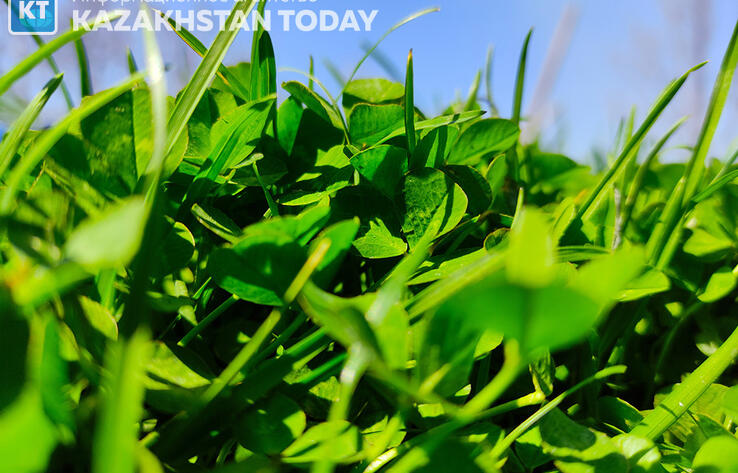 Неустойчивая погода сохраняется в Казахстане