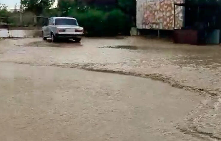 В Алматинской области дождевая вода затопила зоны отдыха 